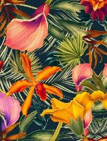 Orange Tropical wallpaper