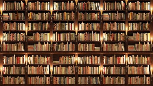 Authentique Bibliothèque trompe l'oeil wallpaper