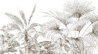 Monochrome engraving tropical wallpaper