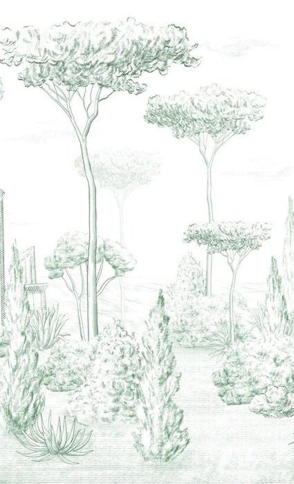 Roman style wallpaper pine forest green