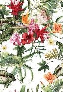 Tropical wallpaper & Colorful flowers