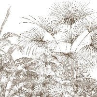 Tropical monochrome engraving wallpaper