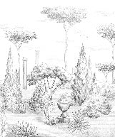 Roman style pinewood wallpaper