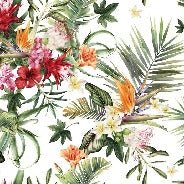 Tropical wallpaper & Colorful flowers