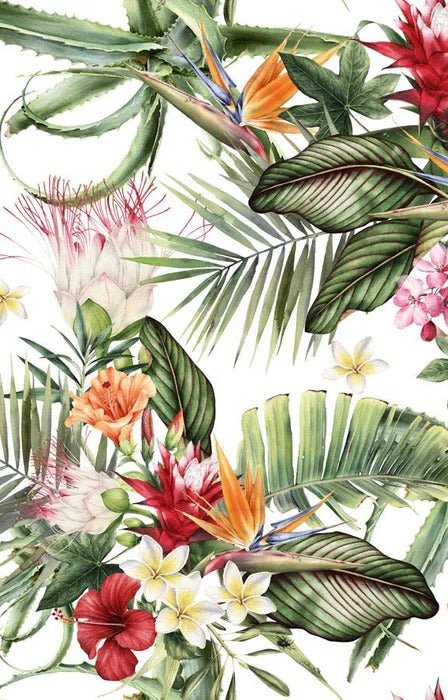 Tropical wallpaper & Colorful flowers