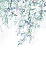 Vegetal & Scandinavian style bathroom wallpaper