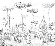 Roman style pinewood wallpaper