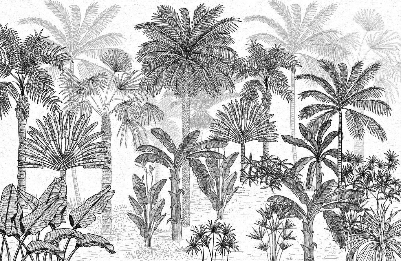 Papier peint toilette jungle cocotier tendance gravure, mural concept, tendance