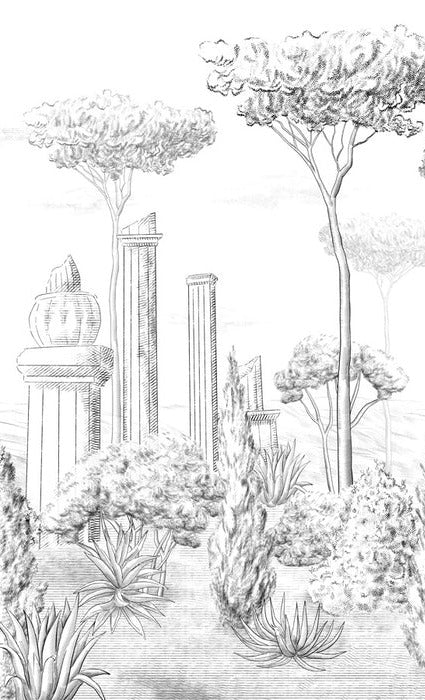 Roman style pinewood wallpaper