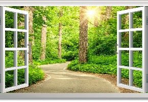 Papier peint trompe l’œil balade en forêt, XXL, tendance