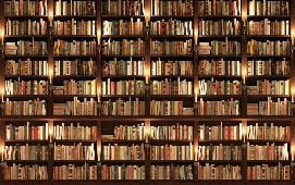 Authentique Bibliothèque trompe l'oeil wallpaper