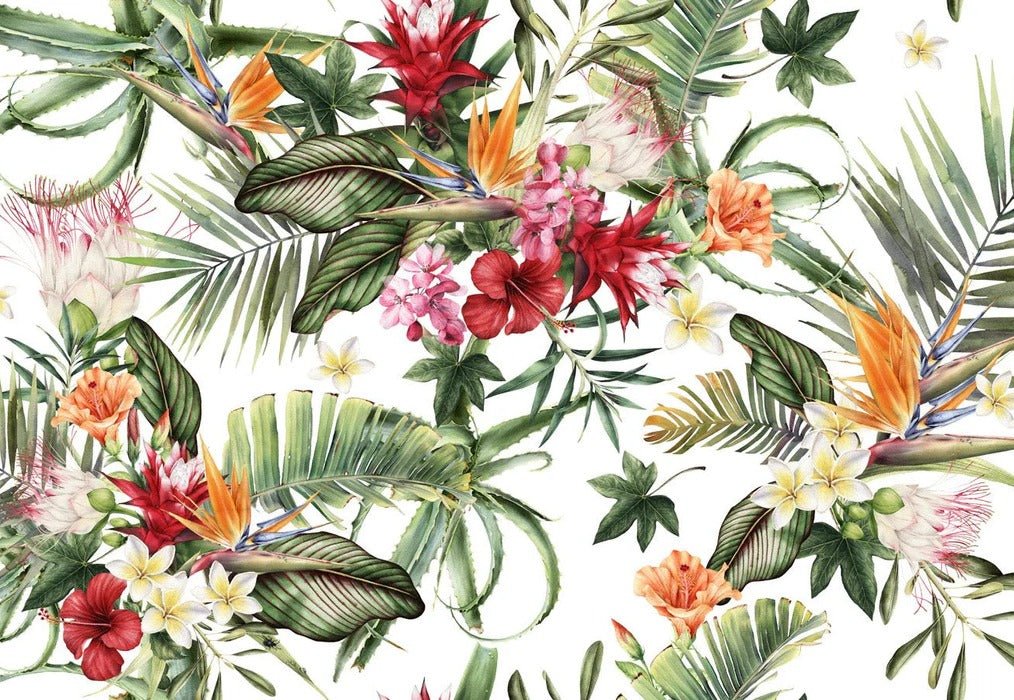 Tropical wallpaper & Colorful flowers