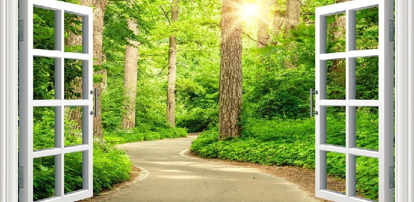 Trompe l'oeil forest walk wallpaper