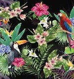 Tropical & Toucan wallpaper