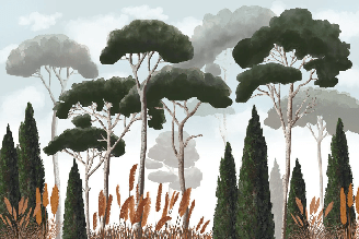 Custom wallpaper featuring cypress trees, pine trees, and pampas grass