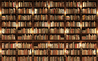 Papier peint trompe l'oeil Authentique Bibliothèque