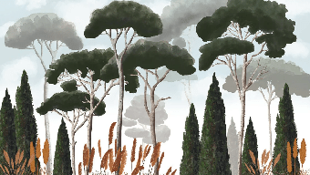 Custom wallpaper featuring cypress trees, pine trees, and pampas grass