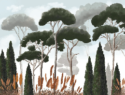 Custom wallpaper featuring cypress trees, pine trees, and pampas grass