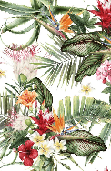 Tropical wallpaper & Colorful flowers