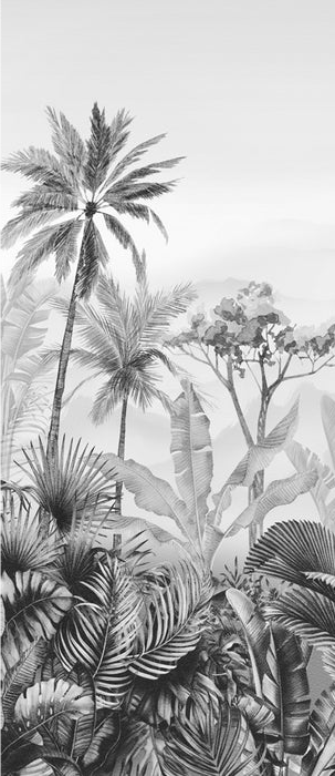 Black and white tropical trend wallpaper