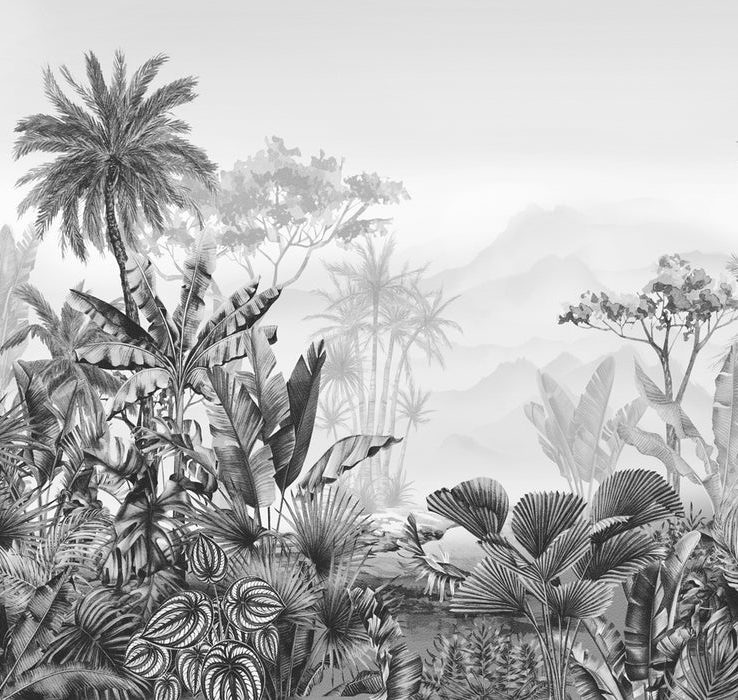 Black and white tropical trend wallpaper