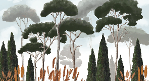 Custom wallpaper featuring cypress trees, pine trees, and pampas grass