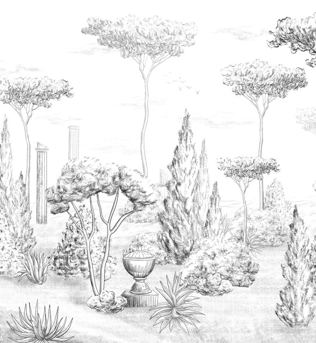 Roman pine forest style wallpaper