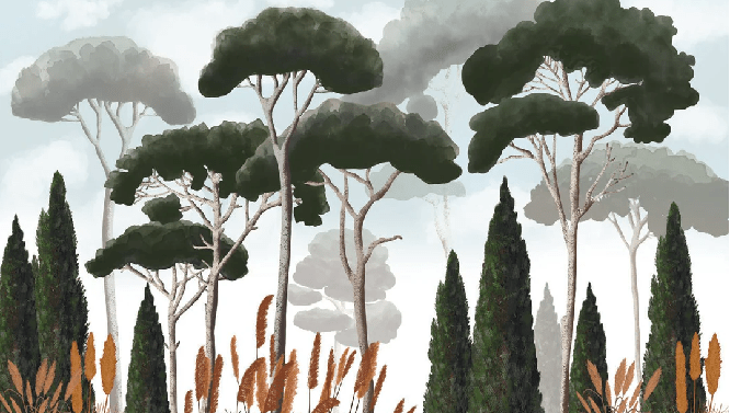 Custom wallpaper featuring cypress trees, pine trees, and pampas grass