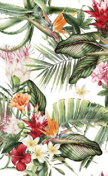 Tropical wallpaper & Colorful flowers