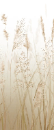 Beige wheat field flower wallpaper for the bathroom