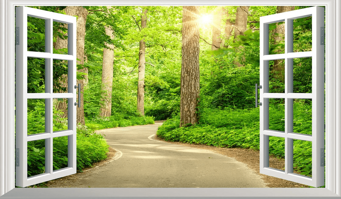 Trompe l'oeil wallpaper forest walk