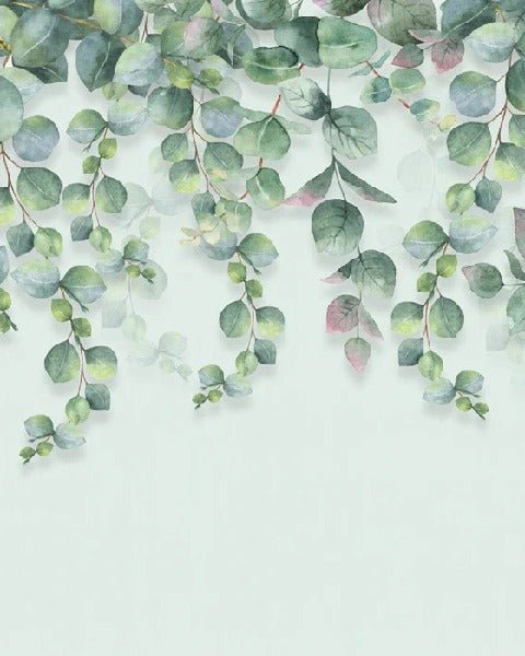 Eucalyptus plant wallpaper