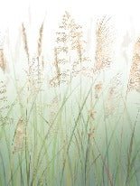 Green wheat field flower wallpaper