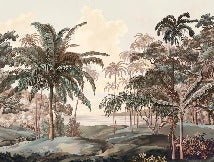 Landscape wallpaper Celebes terra