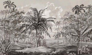 Black and white Sulawesi landscape wallpaper