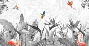 Black and white bird of paradise wallpaper