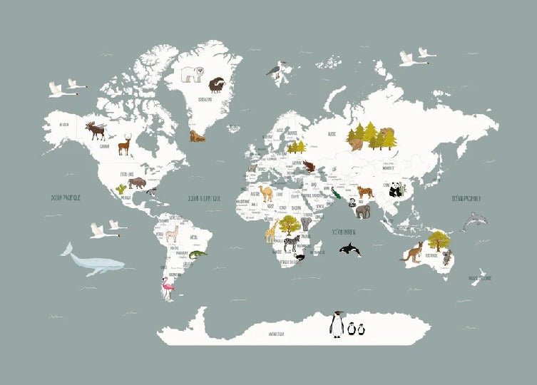 Wallpaper World Map in French for Children, Gray