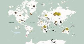 Children's French world map wallpaper green