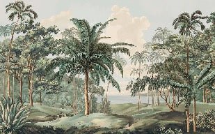 Sulawesi landscape wallpaper