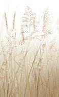 Beige wheat field flower toilet wallpaper