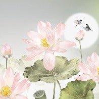 Romantic floral orchid wallpaper