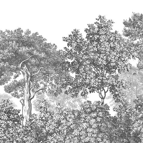 Landscape wallpaper forest engraving black and white