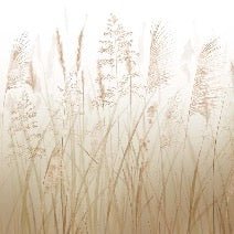 Wheat field flower wallpaper