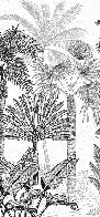 Toilet wallpaper jungle cocotier tendance gravure