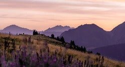 Wallpaper restaurant massif du Giffre