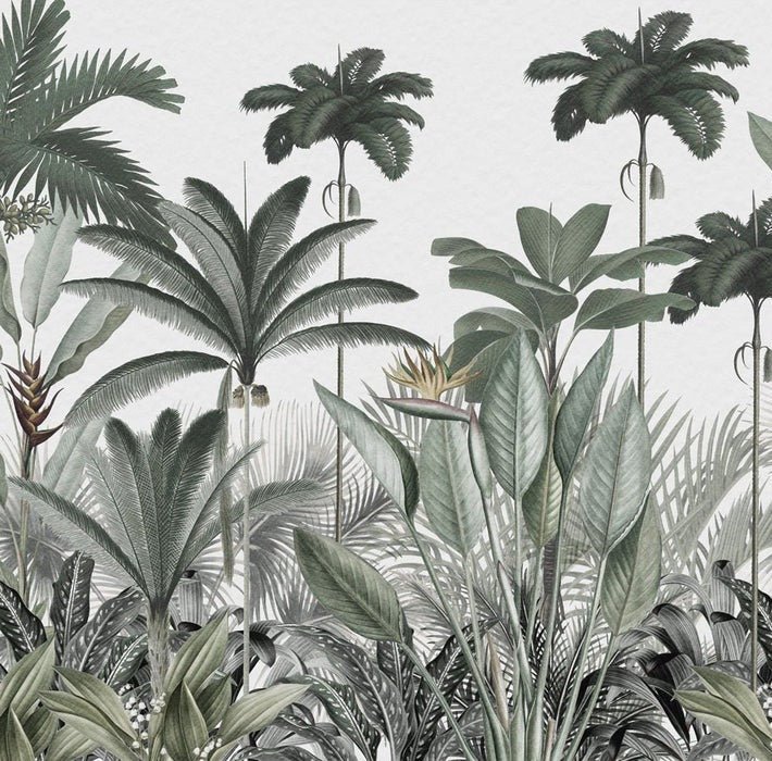 Panoramic jungle tree wallpaper