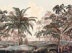 Landscape wallpaper Celebes terra