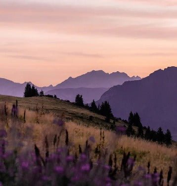 Wallpaper in the Massif du Giffre restaurant