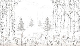 Black and white tree forest wallpaper