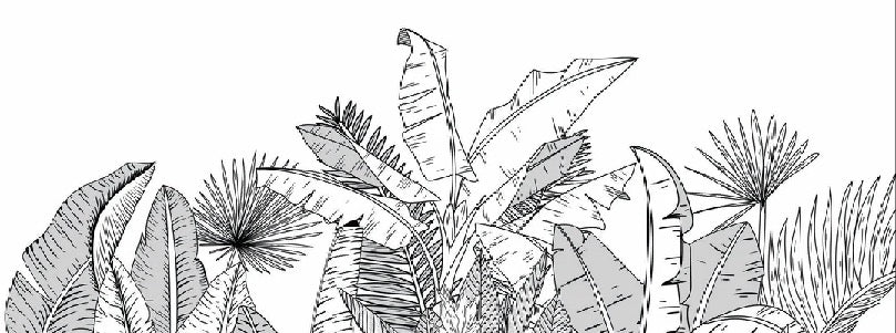 Panoramic black and white botanic leaf wallpaper